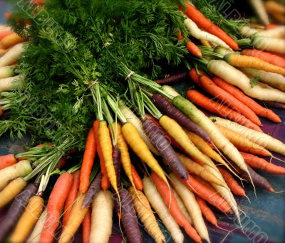 Colorful Organic Carrots