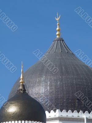 Domes at the Kapitan Keling mosque