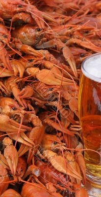Beer mug and crayfishes