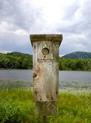 Wooden Bird Feeder Overlooking Lake