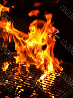 Barbecue Grill Freshly Lit