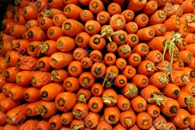 Fresh Organic Carrots