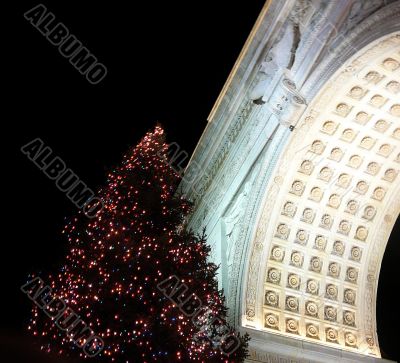Christmas Tree in NYC