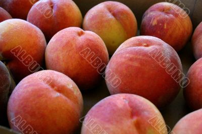 Fresh Organic Summer Peaches
