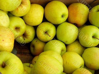 Fresh Autumn Apples