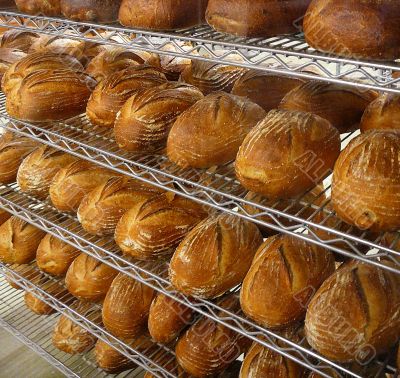 Bread in Bakery