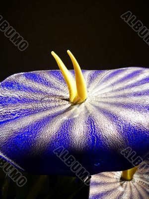 Abstract Glass Lily Sculpture
