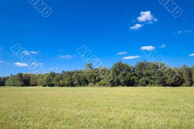 neutral landscape