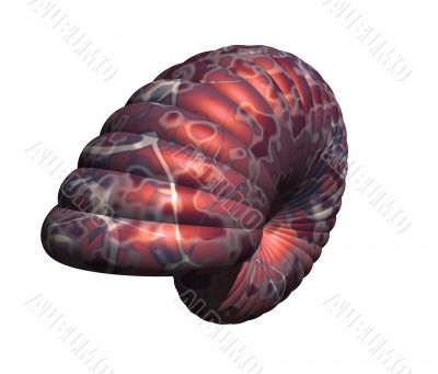 snailhouse