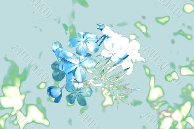 Flowers abstract