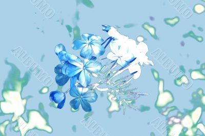 Flowers abstract