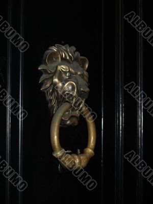 Door handle 1