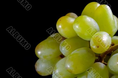 grape