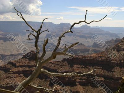 Lonelyness in Grand Canyon