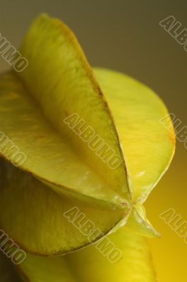 Carambola №2