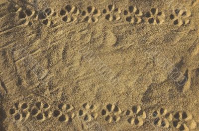 The invoice of sand with a flower ornament