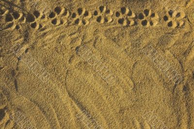 The invoice of sand with a flower ornament