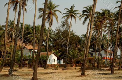 Goa Village