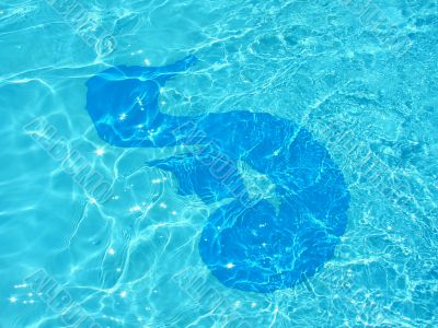 Sea horse  in the blue water