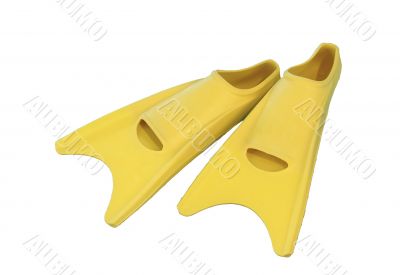 Yellow flippers on white background