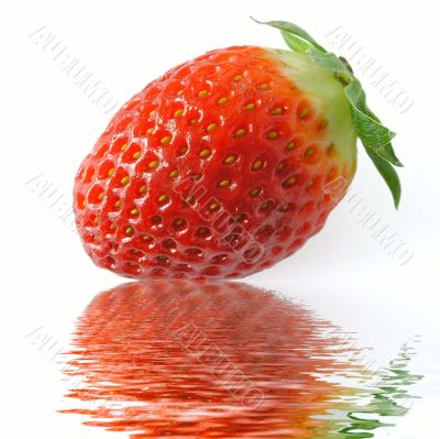 Strawberry reflection in water