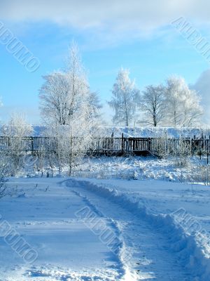 Winter in country