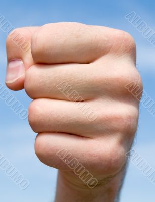 fist