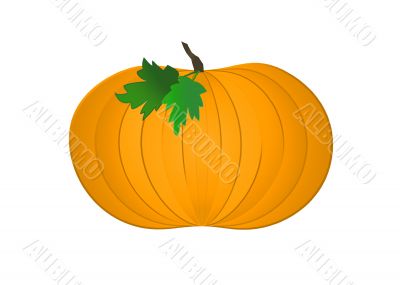 Pumpkin Illustration on White Background
