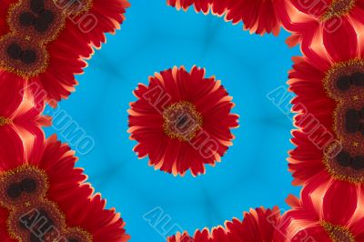 Red flower