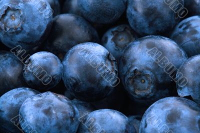 blueberries