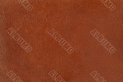 brown leather