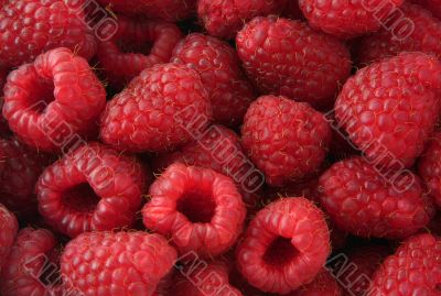 raspberries
