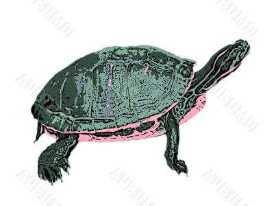 Turtle