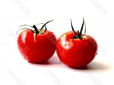 two wet tomatoes