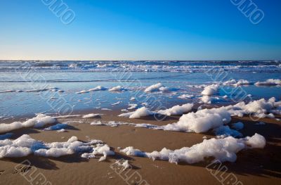 beach and ocean