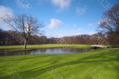 beautiful spring landscape