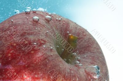 fresh apple