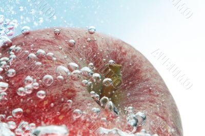 fresh apple
