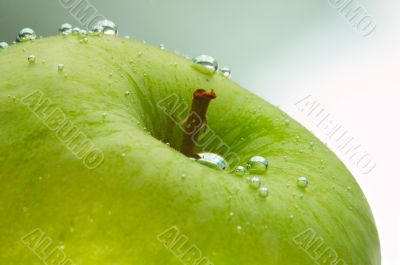 Fresh green apple