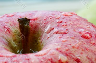Macro photo of an apple