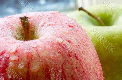 Macro photo of an apple