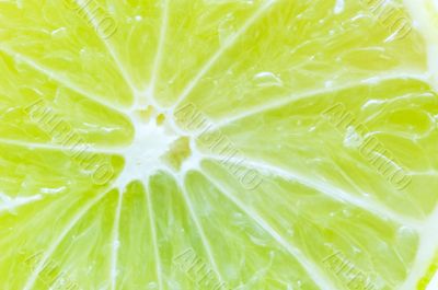 Lime background