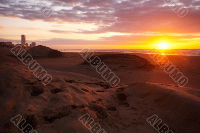 Sunset on the beach