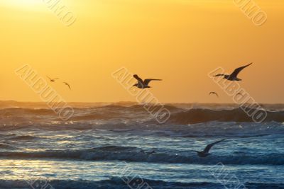 beach and sunset