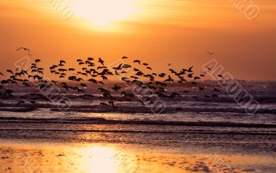 beach and sunset
