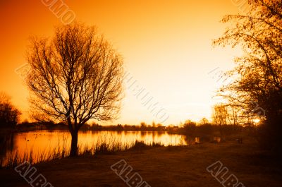 early morning sunrise