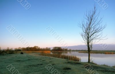 landscape in the morning