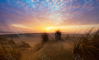 Beautiful sunset and sand dunes