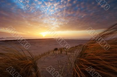 Beautiful sunset and sand dunes