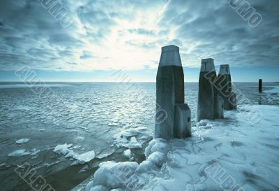winter landscape